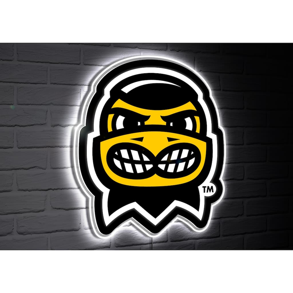 University of Iowa College Mascot Plug-In LED Lighted Sign
