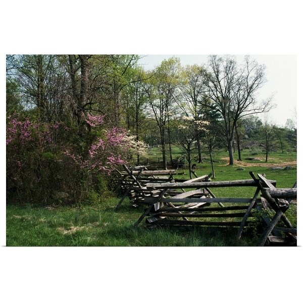 "Flowering trees in bloom along fence line, spring, Great Smoky Mountains National Park, Tennessee" Poster Print