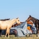 preview thumbnail 11 of 11, Tasha Polizzi for Paseo Road Lee Western Washed Denim 3 Piece Duvet Cover Set