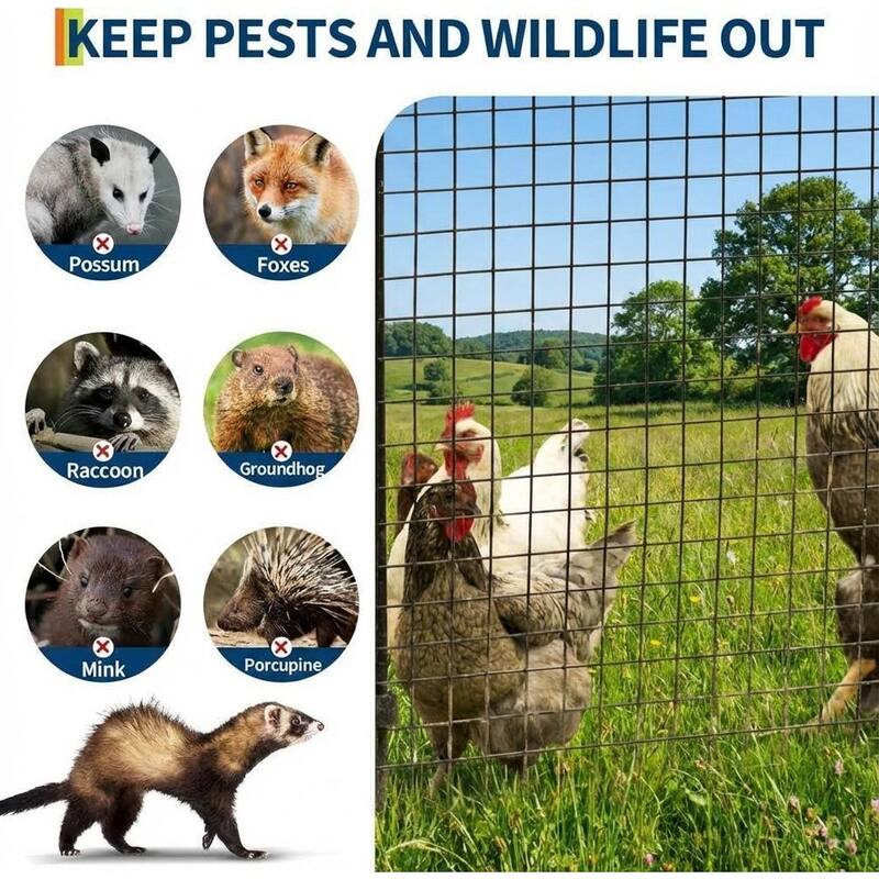 Galvanized Wire Fencing, for Bird Gopher Rabbit Snake