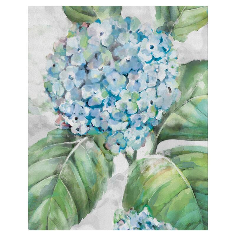 Hydrangea Portraits II by Studio Arts Canvas Art Print