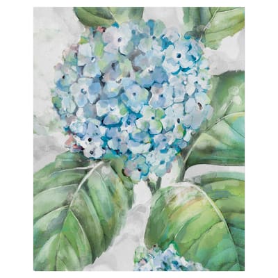 Hydrangea Portraits II by Studio Arts Canvas Art Print