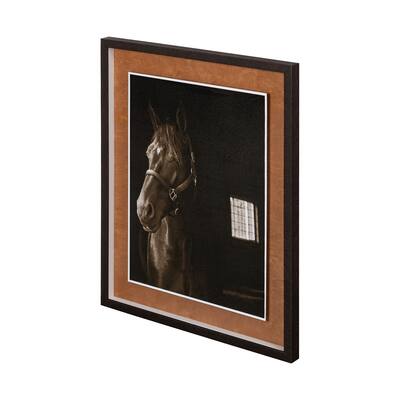 Out of the Shadows Framed Art Print