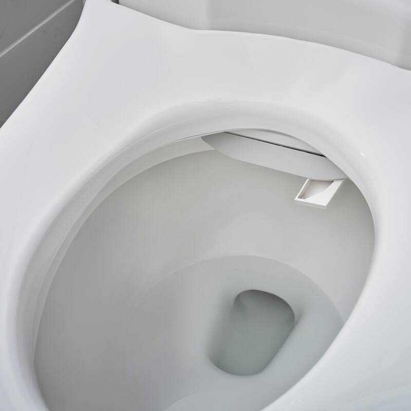 American Standard Advanced Clean 2.5 SpaLet Elongated Soft Close Bidet