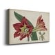 preview thumbnail 2 of 5, Amaryllis Splendor I Premium Gallery Wrapped Canvas - Ready to Hang