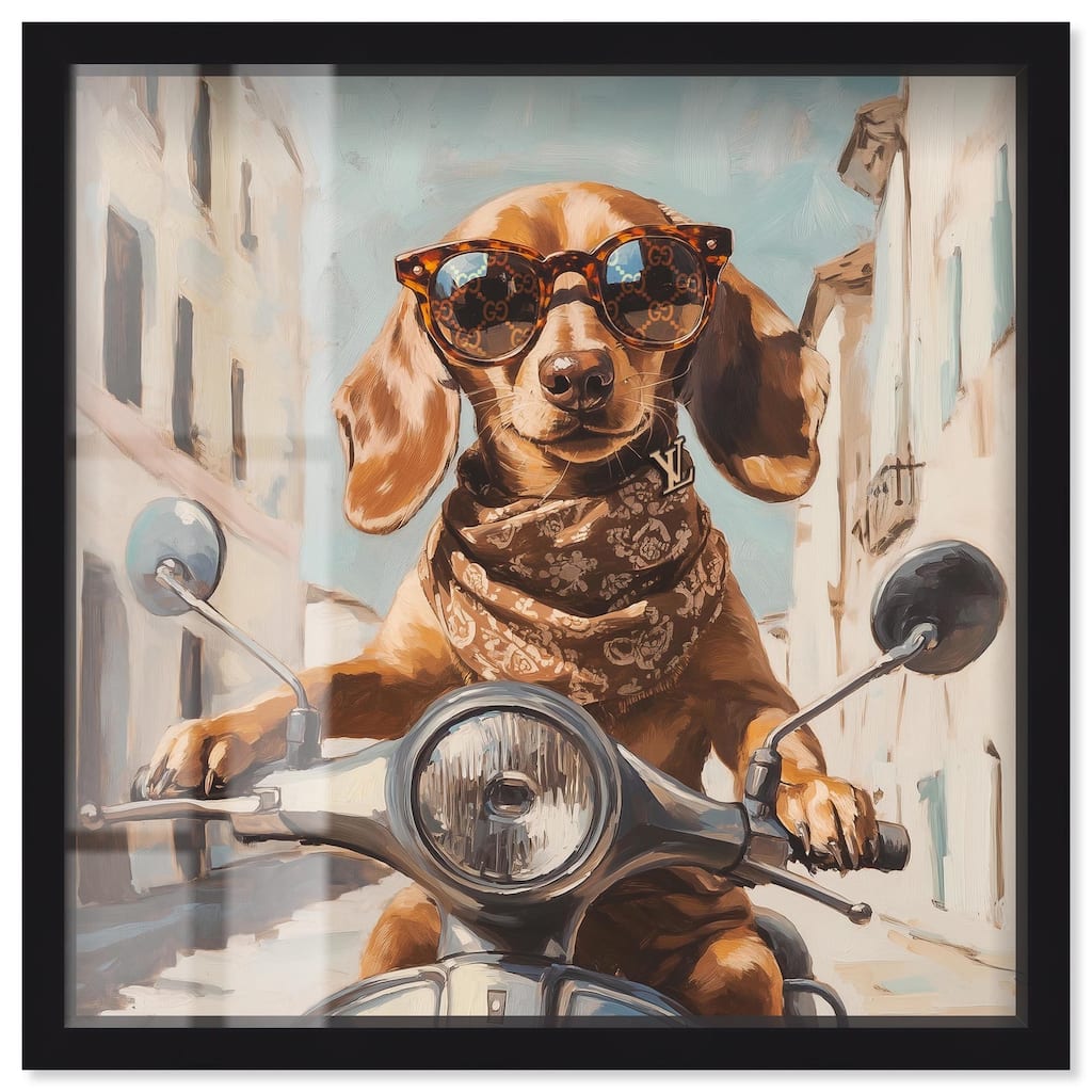 Doxxie on a Scooter Drive Shadowbox by Art Remedy