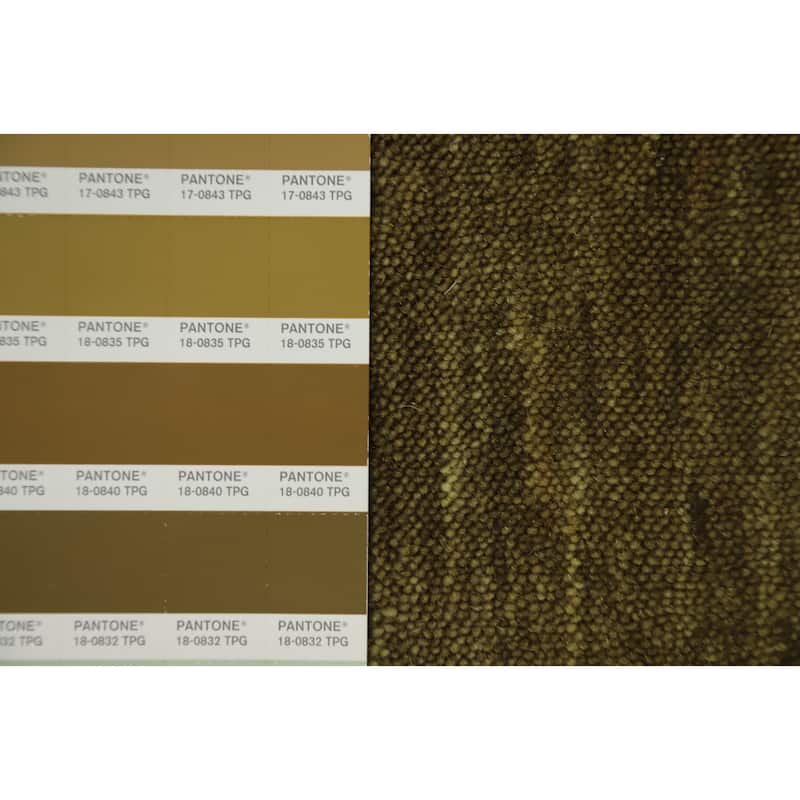 Hand Knotted Oriental 100% Wool Carpet Tribal Animal Pictorial Green Gabbeh Area Rug - 5' 11'' X 5' 10''