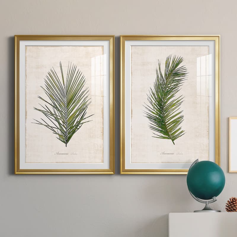 Palm Botanical I Premium Framed Print - Ready to Hang