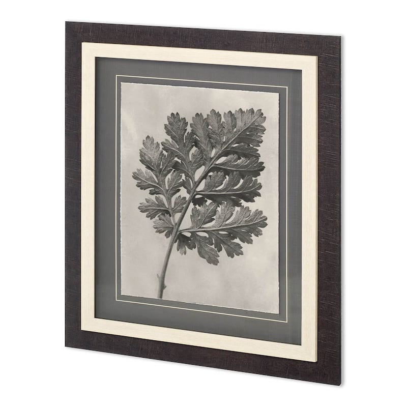 Custom Blossfeldt Botanical III Framed Art Print