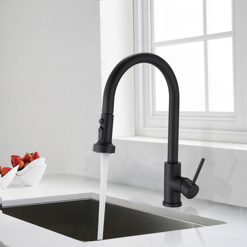 Stainless Steel Pull Down Kitchen Faucet with Sprayer - Black
