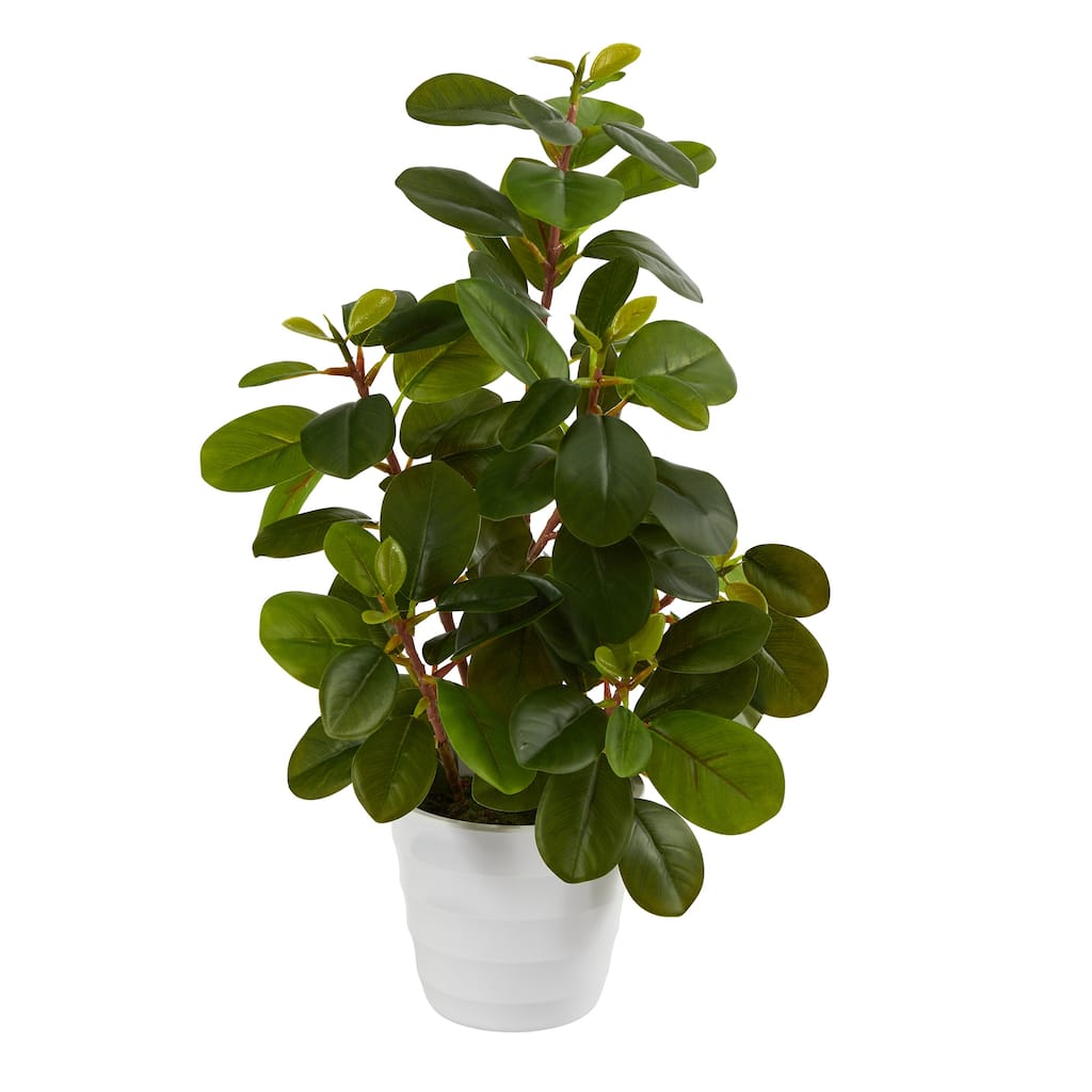16" Peperomia Artificial Plant in Decorative Planter - 6"