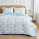 Option Blue Seashells