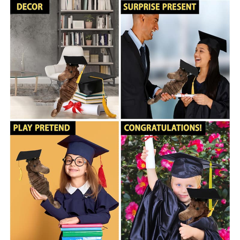 DolliBu Seahorse Graduation Plush Toy with Cap with Tassel Outfit - 12 inches