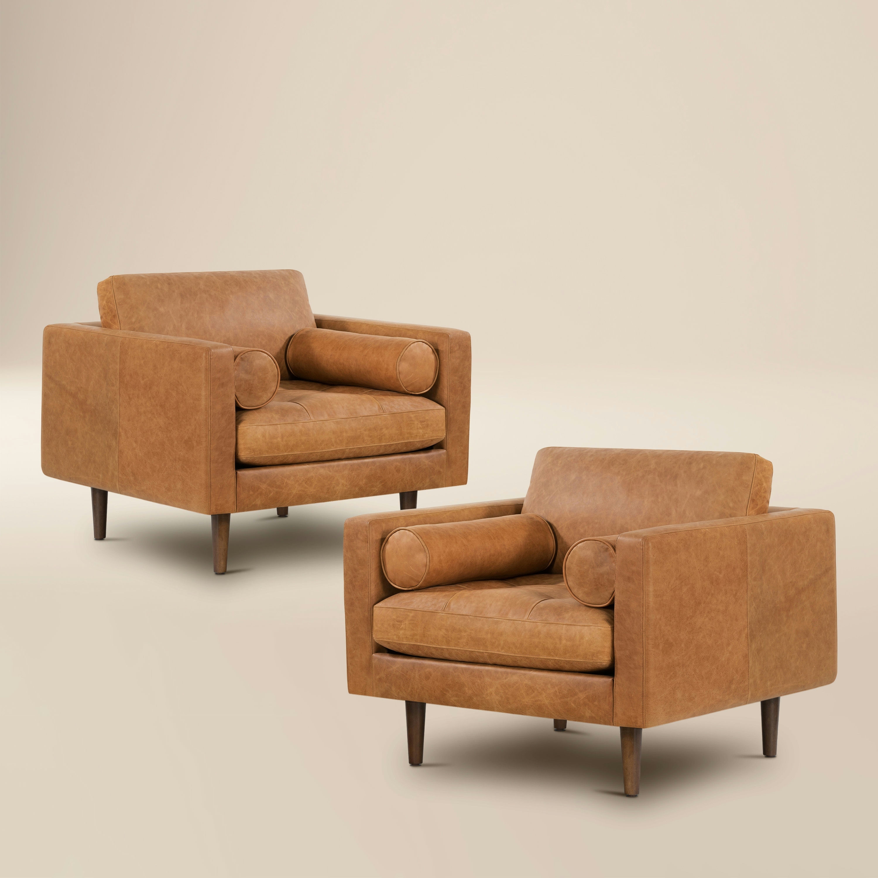 Poly & Bark Napa Lounge Chair (Set of 2) - Full Grain Genuine Italian Leather