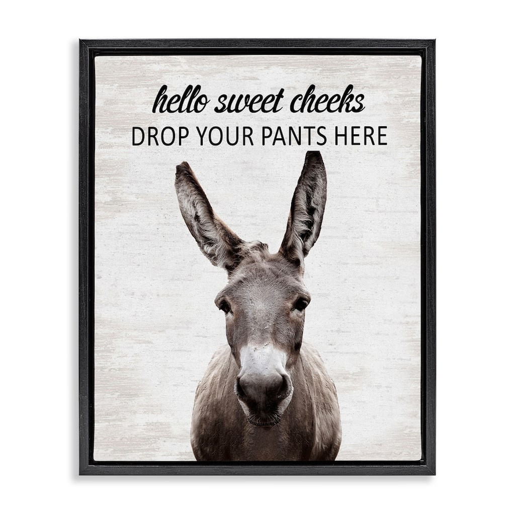 Stupell Drop Pants Here Funny Laundry Framed Floater Canvas Wall Art Design By Lettered and Lined