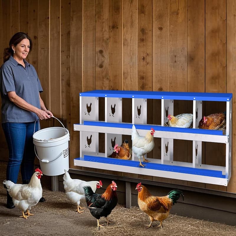 10 Compartment Metal Chicken Nesting Box, Laying Box for Hens Ducks Rabbits, Blue