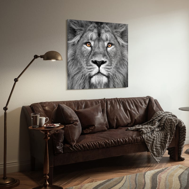 King of the Jungle Lion Unframed Free Floating Tempered Glass Wall Art