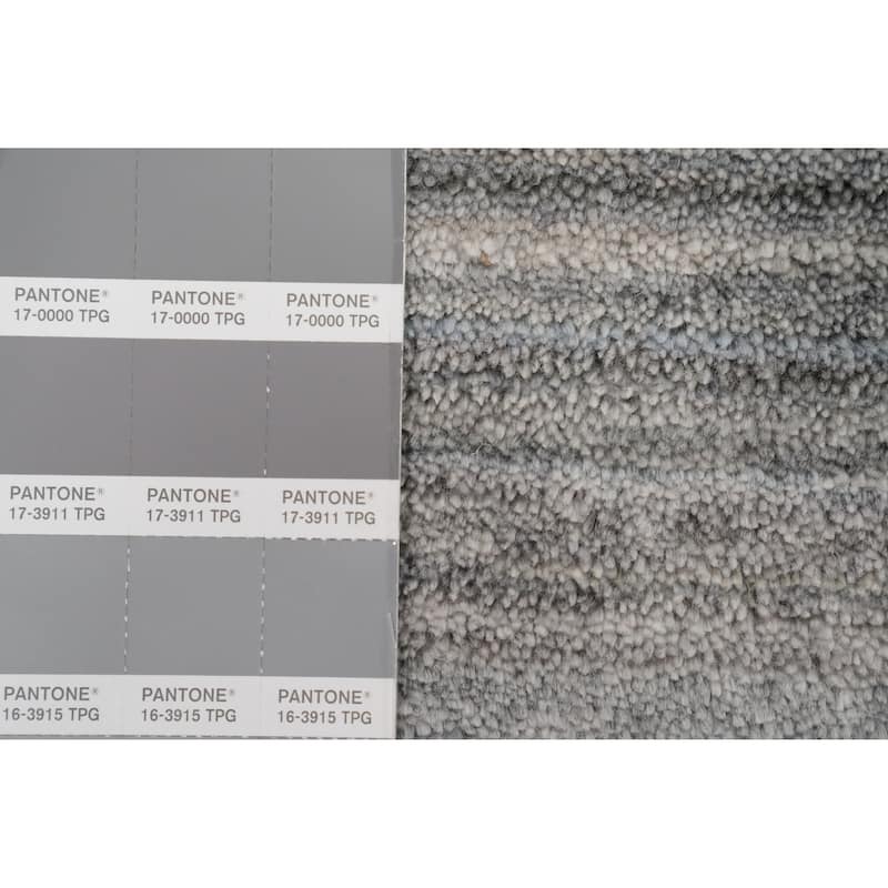 Hand Knotted Oriental Viscose Silk Carpet Tribal Animal Pictorial Greys & Charcoal Gabbeh Area Rug - 11' 10'' X 9' 11''