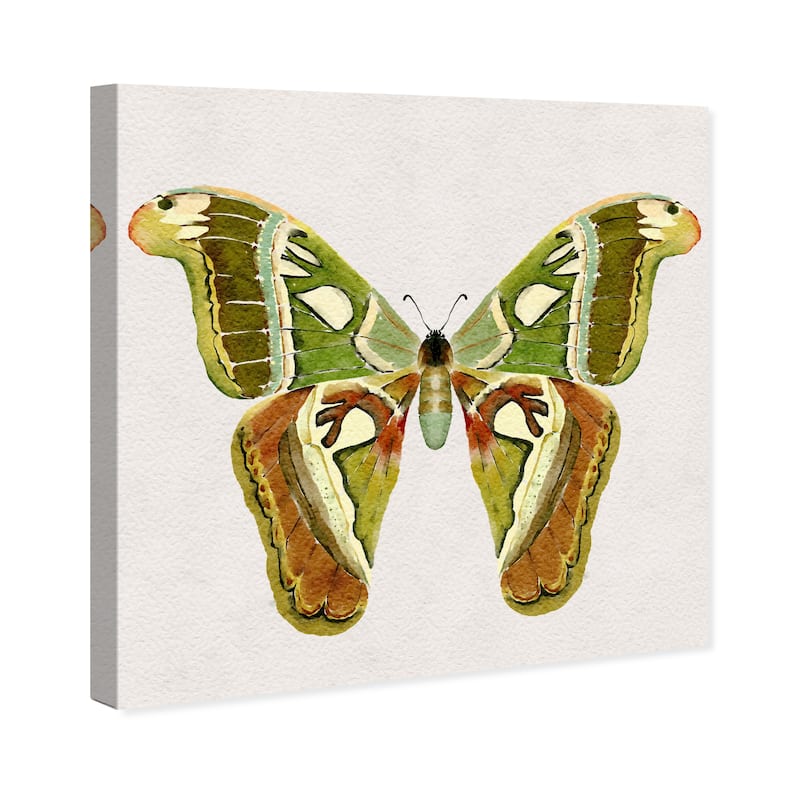 Wynwood Studio Canvas Animals Nature Camo Butterfly Green and Tropical Wall Art Canvas Print - Green, Brown