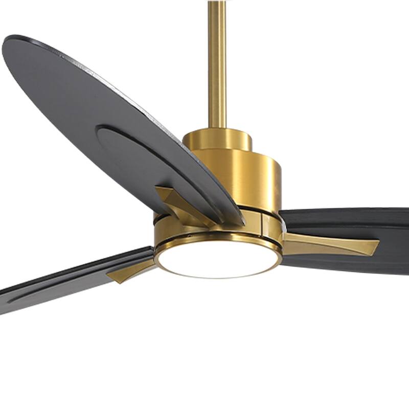 WINGBO 60-in 3-Blades Indoor Ceiling Fan with LED Light & Remote