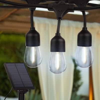 Brightech Ambience Pro 12-Light 27 ft. Black Outdoor Solar NonHanging LED 2-Watt S14 3000K Soft White Bulb String Lights