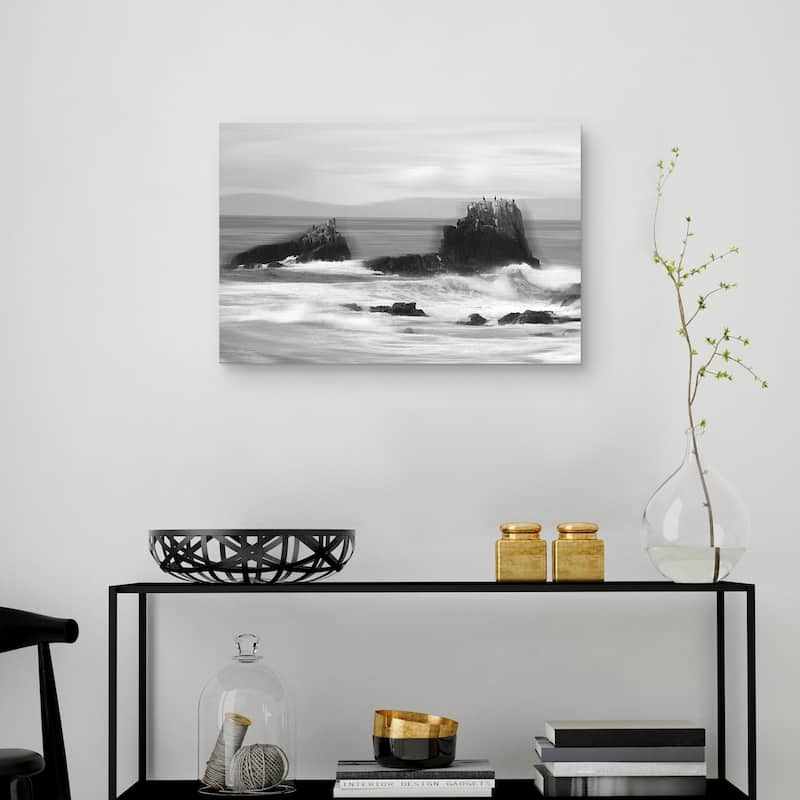 Bird Rock by Mark Timothy Canvas Art Print