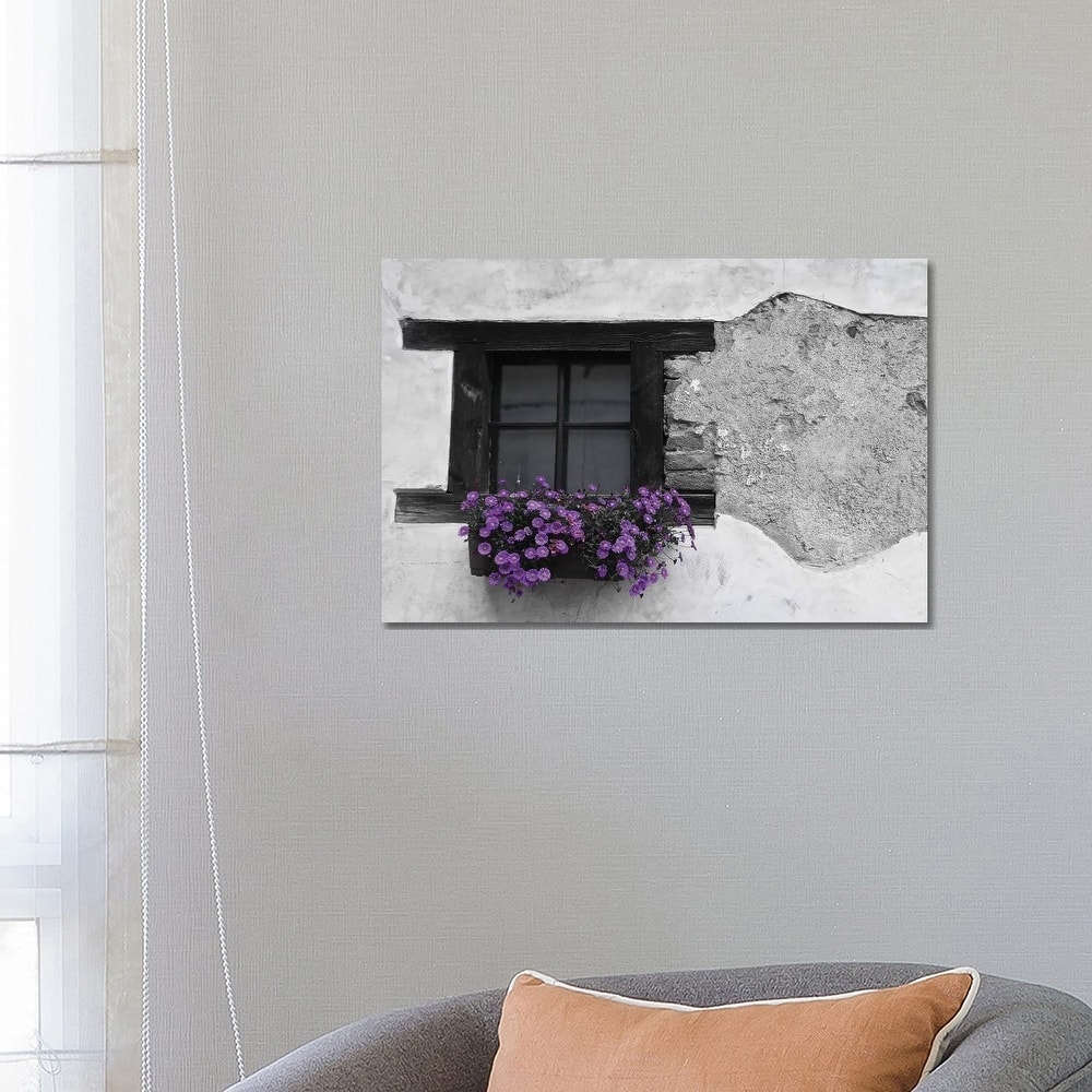 iCanvas "Purple Flower Box In Black And White" by Susan Vizvary Canvas Print