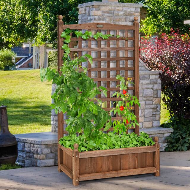 Patio Wooden Plant Box Flower Plant Growing Box Holder with Trellis