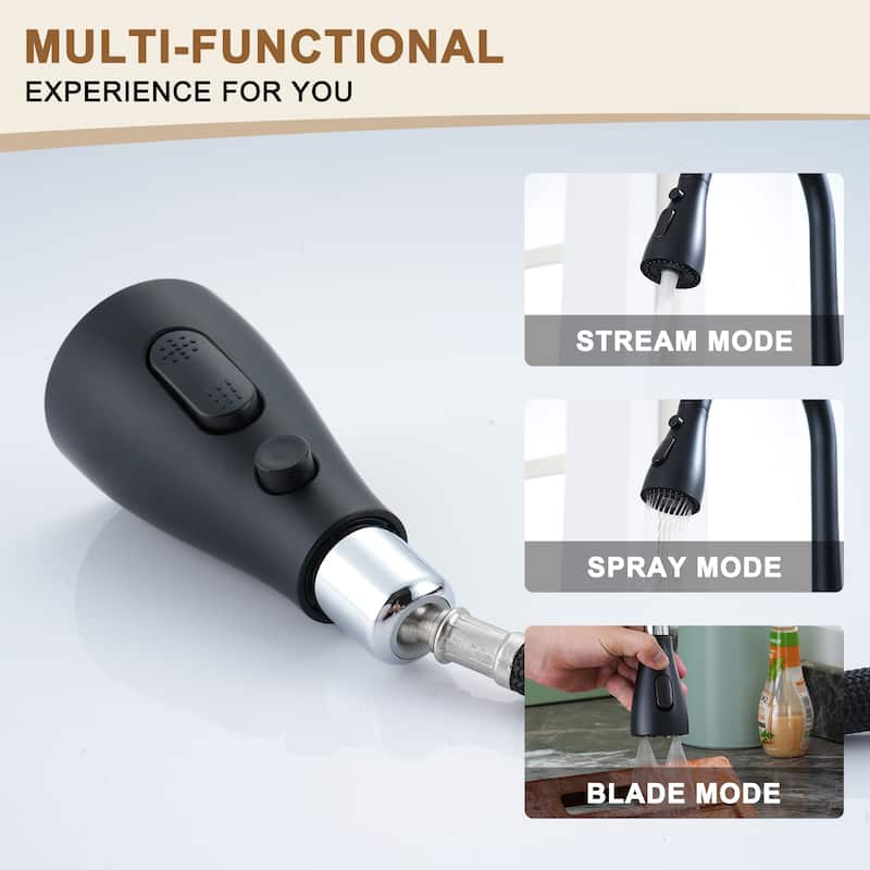 Single-Handle Kitchen Sink Faucet With Pull-Out Sprayer