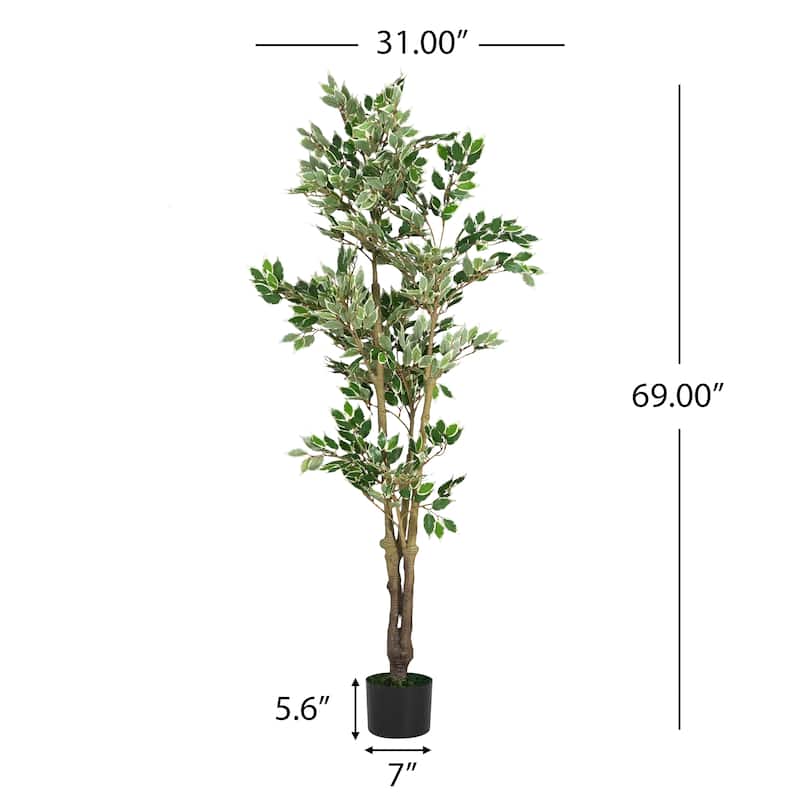 69" Artificial Ficus Tree with Black Plastic Pot,, 31" W x 31" D x 69" H
