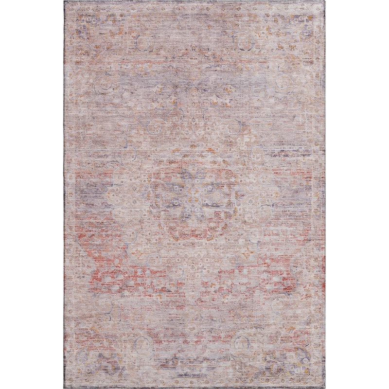 Premium Washable Super Soft Vintage Traditional Mayfield Rug