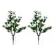 Option White 2 pcs