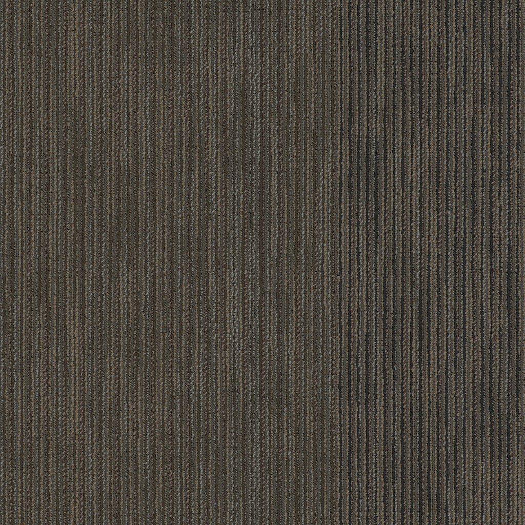 Shaw Philadelphia Commercial Document 24" x 24" Glue Down Carpet Tile