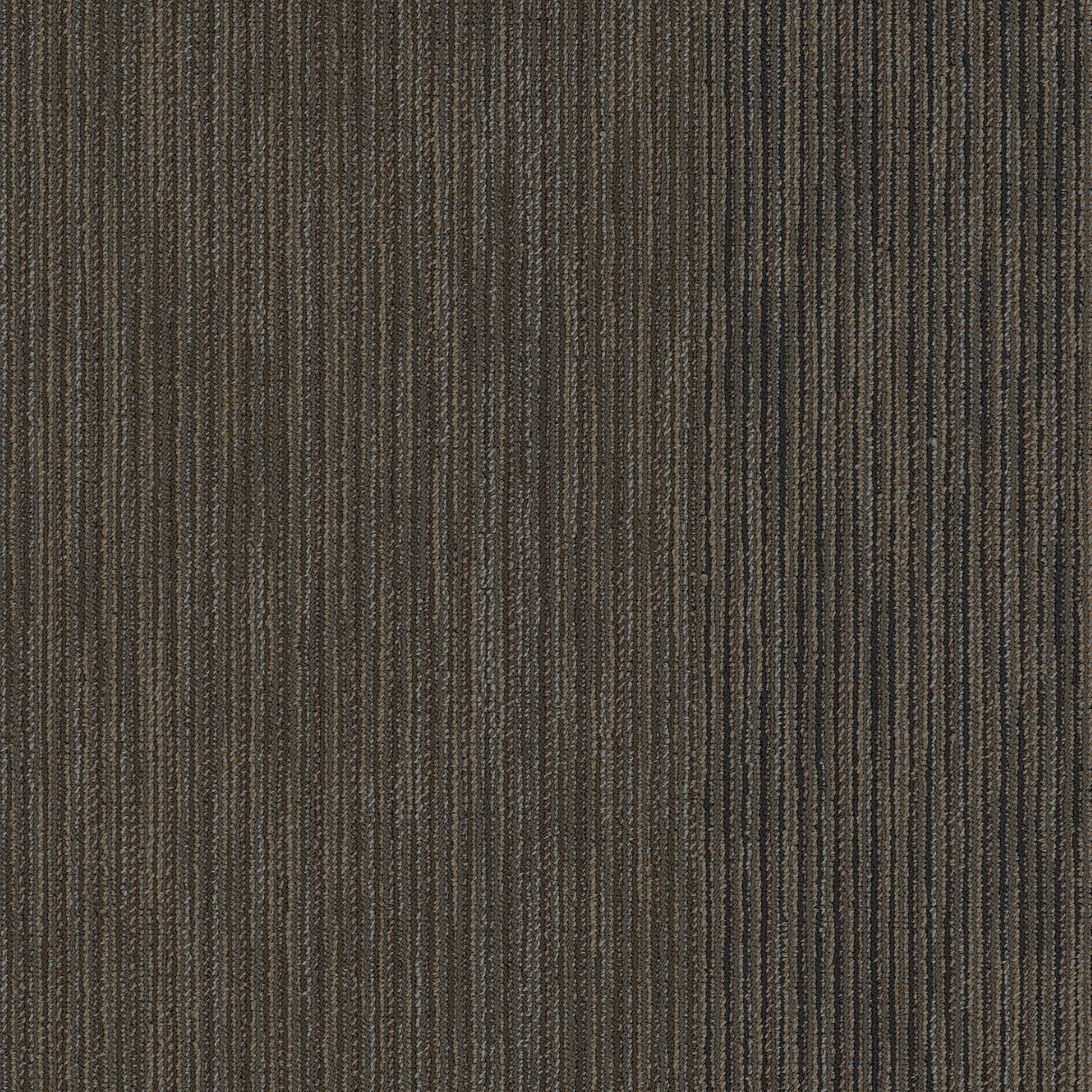 Shaw Philadelphia Commercial Document 24" x 24" Glue Down Carpet Tile