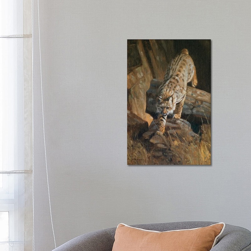 iCanvas "Lynx" by Grant Hacking Canvas Print - 26x18x1.5