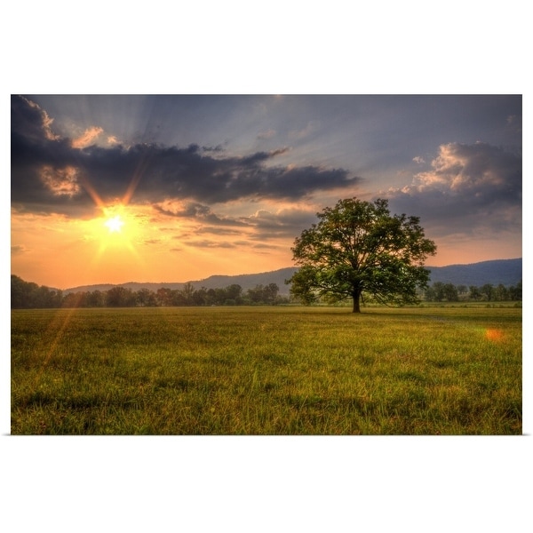 "Sunset behind lone tree in field, Great Smoky Mountains National Park." Poster Print