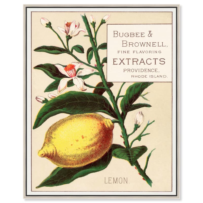 Lemon Canvas by Art Remedy - Silver - 20" x 24"
