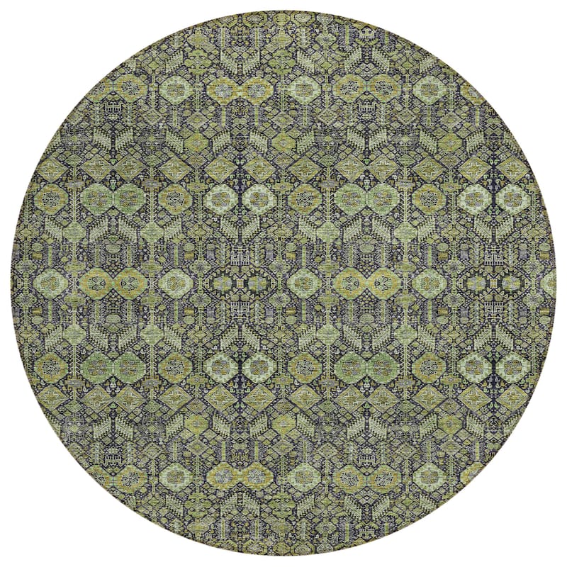 Machine Washable Indoor/ Outdoor Traditional Boho Chantille Rug