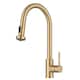 Option Brushed Brass