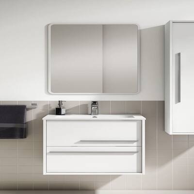 DAX Aqua 23" Single Bathroom Vanity