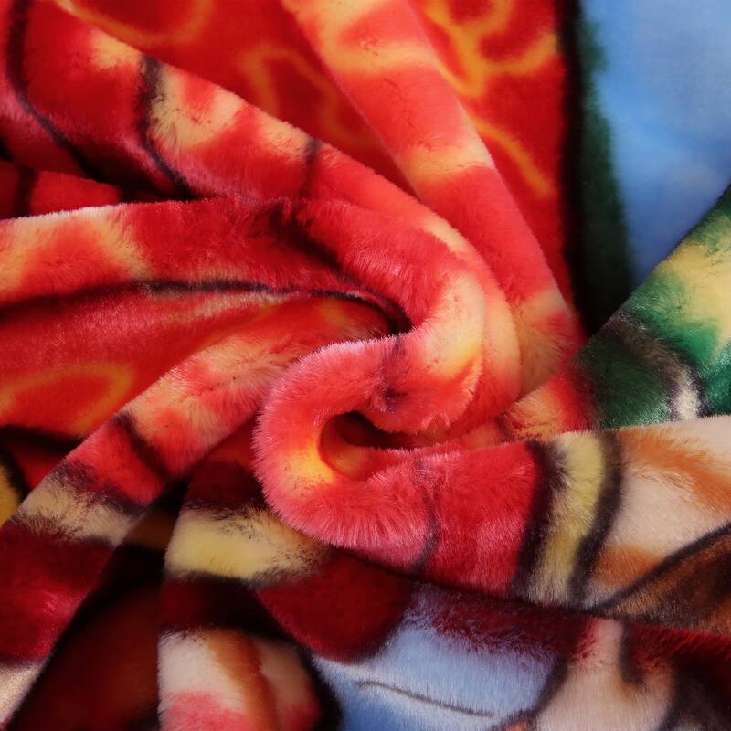 Raschel A&B Printed 2-ply Reversible Korean-style Plush Fleece Blanket