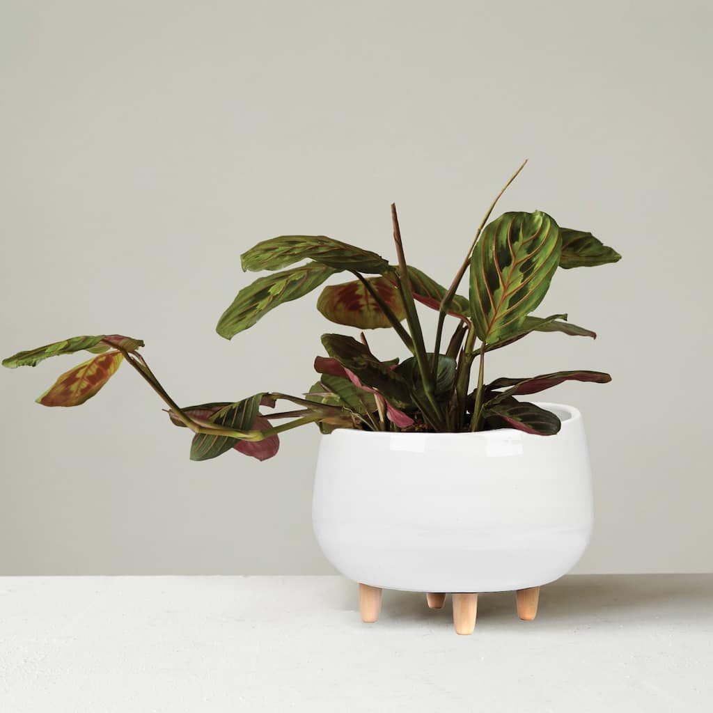 Planter with Wood Feet