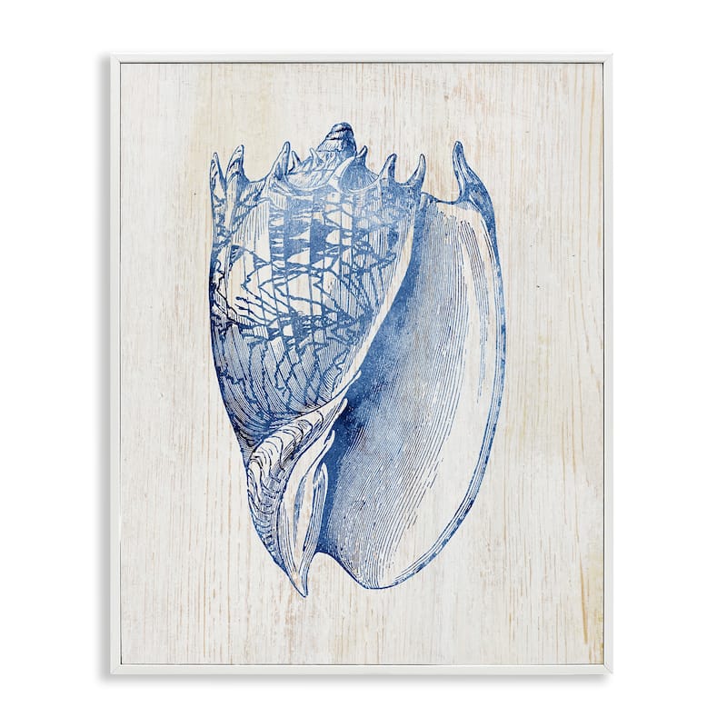 Stupell Nautical Soft Blue Conch Framed Giclee Art Design By Susan Arnot - 16 x 20 - White