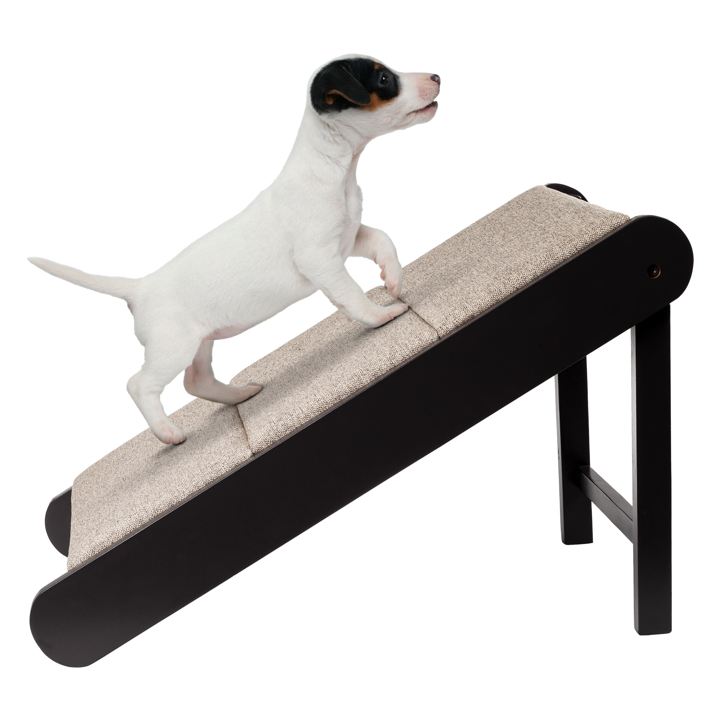 Pet Ramps and Stairs Bed Bath Beyond