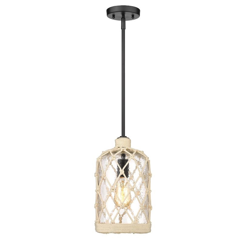 Wry Lighting Nassau 1-light Pendant in Matte Black