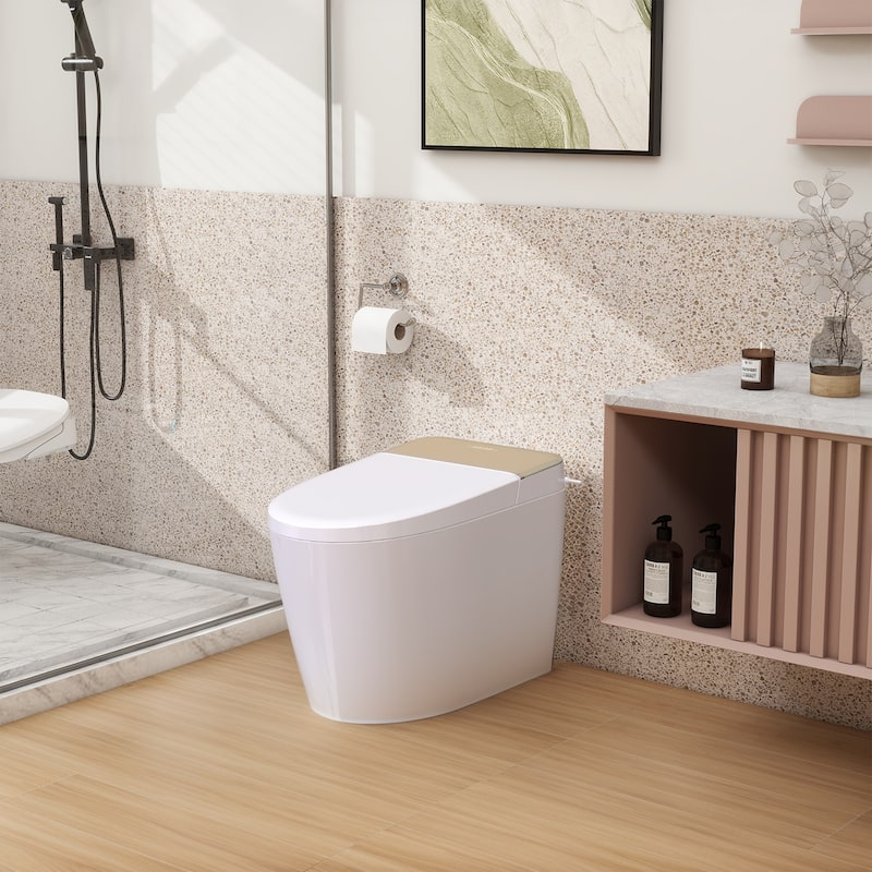 Smart Bidet Toilet with Heated Water/Adjustable Washing Settings/Air Dryer/LED-light, One Piece Bidet-Toilet with Remote Control - Silver