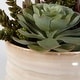 preview thumbnail 5 of 4, Uttermost Mesa Succulent Accent - 10"W x 9"H x 10"D