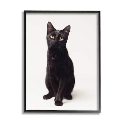 Stupell Cute Black Cat Expressive Eyes Pet Portrait Framed Giclee Texturized Art by Marika Moffit