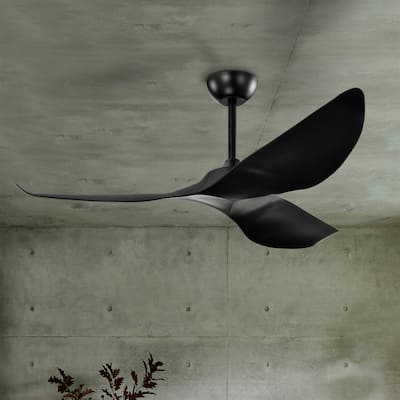 Duncan Modern 3 Bladed Ceiling Fan with Remote