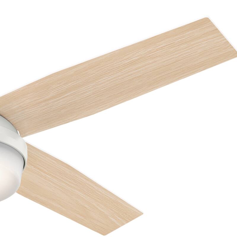 Hunter Fan Dempsey Collection Matte Black Metal and Glass Ceiling Fan with 4 Reversible Blackened Oak/Dark Walnut Blades